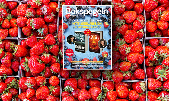 Bildmall_tvåytor_mobil-bbk.jpg