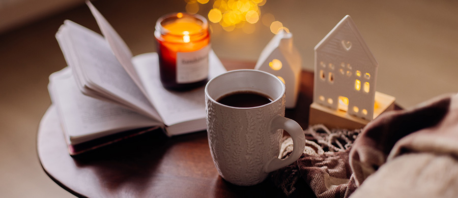 vinterns romaner.jpg