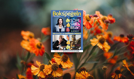 Bildmall_tvåytor_mobil-bbk.jpg